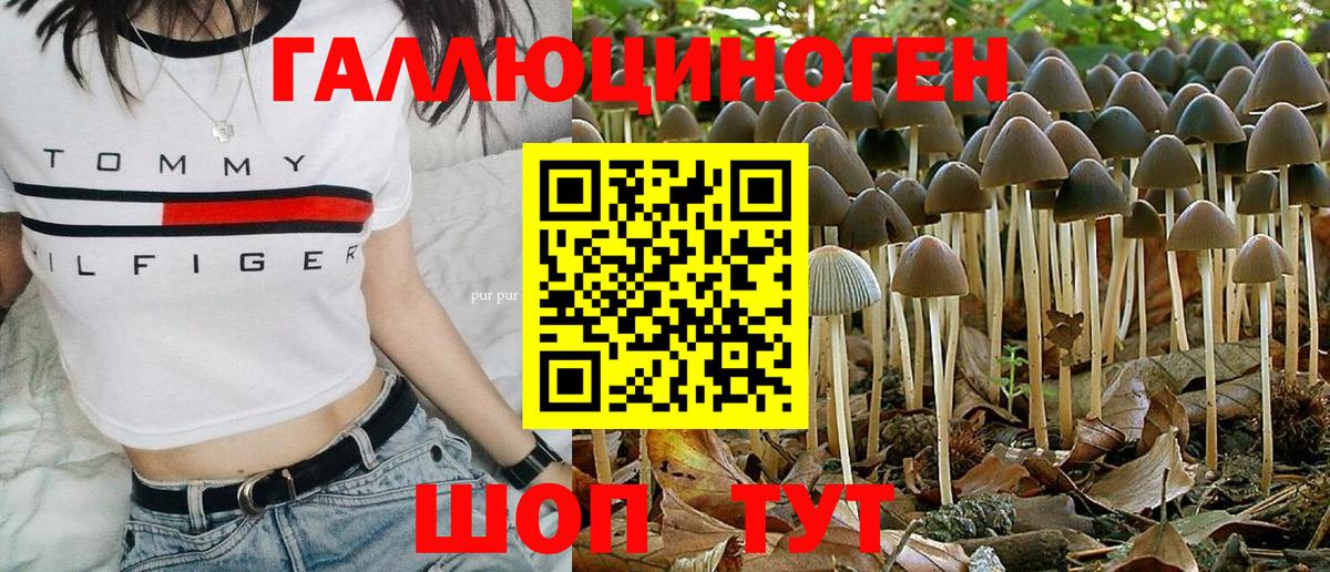 Галлюциногенные грибы ЛСД  Вход с VPN  закладки  Киреевск  Галлюциногенные грибы Cubensis 